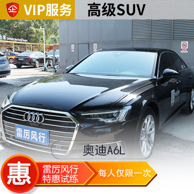 [高端车型]奥迪A6L汽车陪练