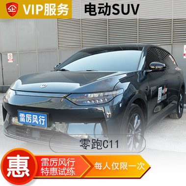 [新能源]零跑C11汽车陪练