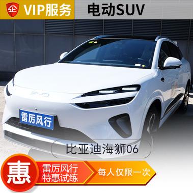 [新能源]比亚迪海狮06汽车陪练