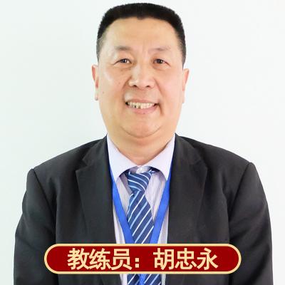 [中型车]新速腾汽车陪练