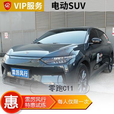 [新能源]零跑C11汽车陪练