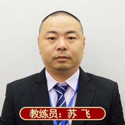 [新能源]比亚迪秦plus汽车陪练