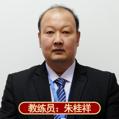 [新能源]比亚迪宋Plus纯电VIP汽车陪练
